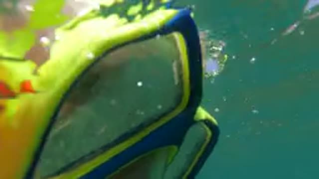 BAJA CALIFORNIA MEXICO-2022: A Person Snorkeling in Clear Ocean Water