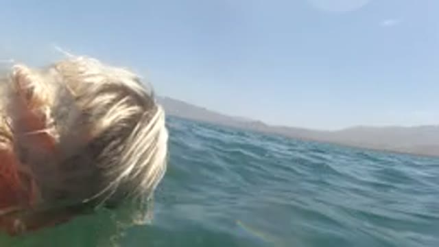 BAJA CALIFORNIA MEXICO-2022: Blonde Woman Snorkeling in the Ocean