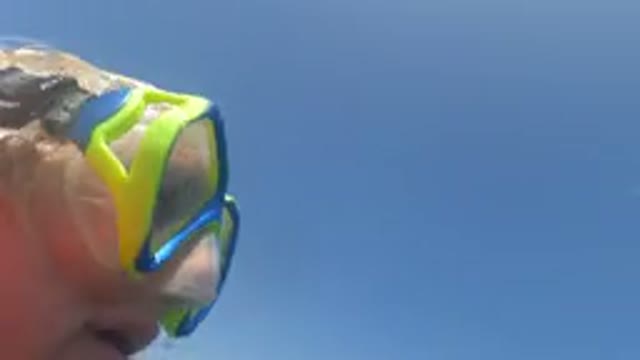 BAJA CALIFORNIA MEXICO-2022: A Person Snorkeling near a Rocky Shore