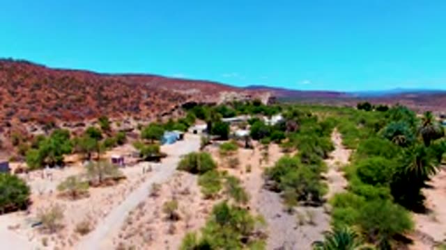 SAN JUANICO BCS MEXICO-2022: Desert Village with Dirt Road and Scattered Trees