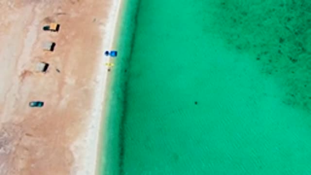 PLAYA SANTISPAC BCS MEXICO-2022: Vehicles and Swimmers on Sandy Beach