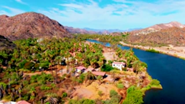 MULEGE BCS MEXICO-2022: Palm Tree Lined Riverbank in Arid Landscape