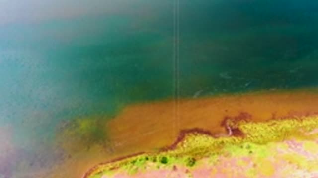 MULEGE BCS MEXICO-2022: Receding Tide Exposing Colorful Coastal Shoreline