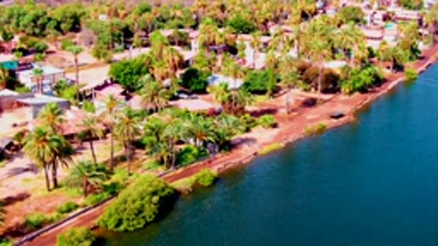 MULEGE BCS MEXICO-2022: Palm Tree Lined Coastal Residential Aerial