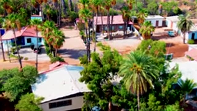 MULEGE BCS MEXICO-2022: Residential Neighborhood with Palm Trees and Departing Car