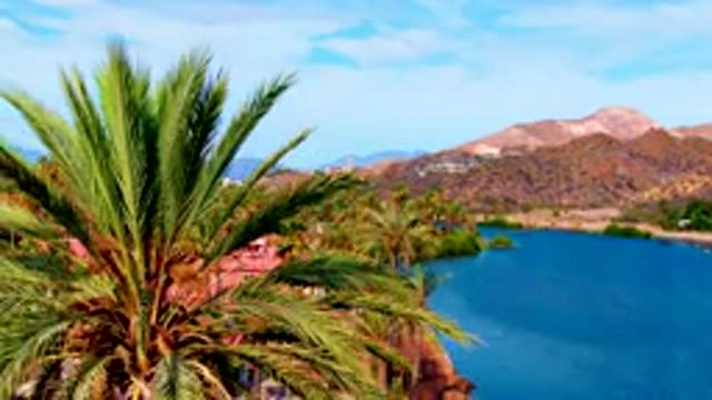 MULEGE BCS MEXICO-2022: Palm Trees Framing a Lake and Mountains