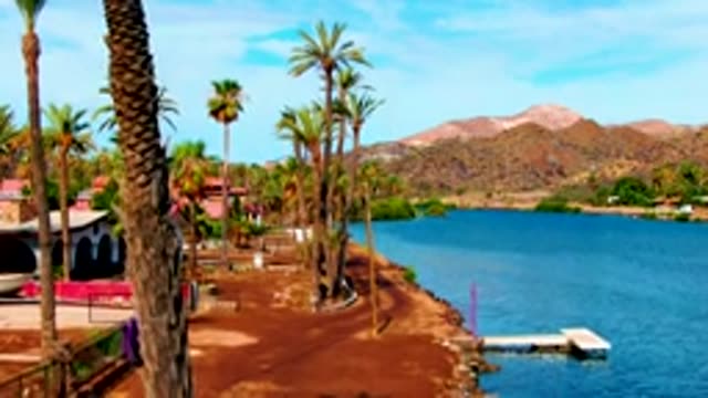 MULEGE BCS MEXICO-2022: Lakeside Palm Tree Shoreline with Shifting Shadows