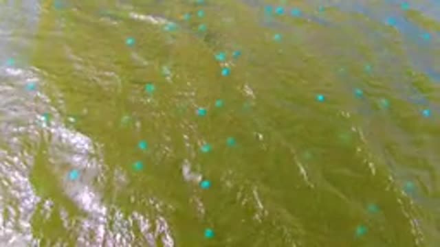 MULEGE BCS MEXICO-2022: Rippling Greenish River Water in Motion