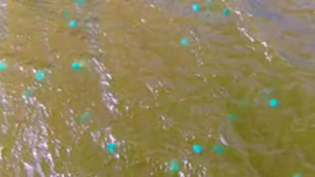 MULEGE BCS MEXICO-2022: Overhead View of Muddy Water with Floating Buoys