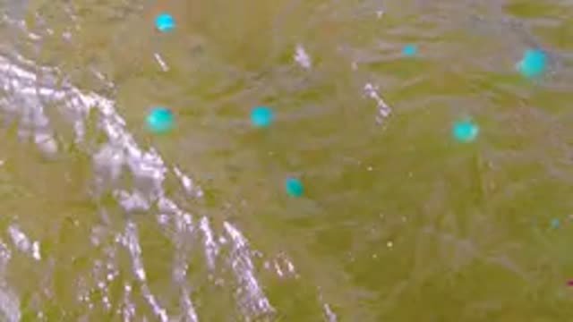 MULEGE BCS MEXICO-2022: Turquoise Buoys Floating in Muddy Water