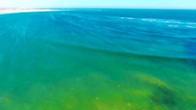 LA BOCANA BCS MEXICO-2022: Shallow Ocean Water with Visible Seabed and Algae