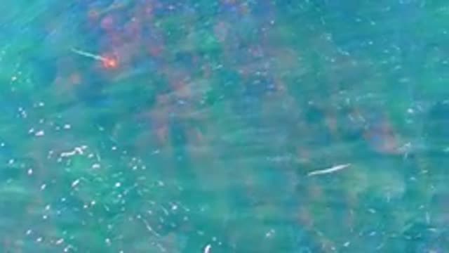 LA BOCANA BCS MEXICO-2022: Small Fish Swimming in Clear Turquoise Water