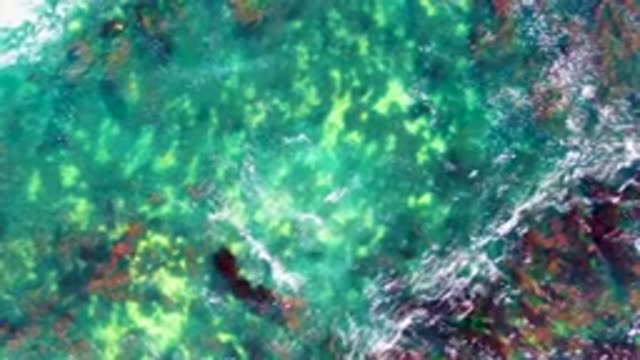 LA BOCANA BCS MEXICO-2022: Clear Ocean Water with Underwater Rocks and Waves