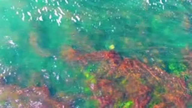 LA BOCANA BCS MEXICO-2022: Shallow Ocean Wave Breaking and Rainbow Formation