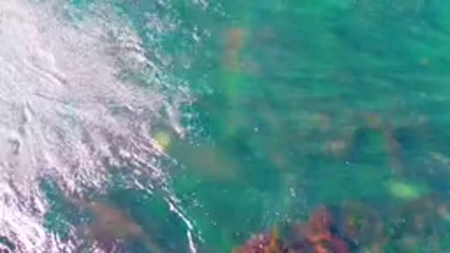 LA BOCANA BCS MEXICO-2022: Shallow Turquoise Water with Underwater Rocks and Ripples