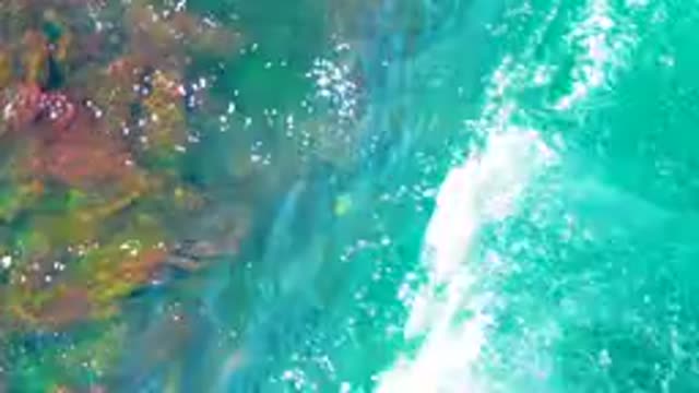 LA BOCANA BCS MEXICO-2022: Ocean Water, Submerged Seaweed, and Wave-formed Rainbow