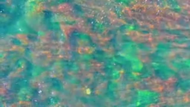 LA BOCANA BCS MEXICO-2022: Shallow Clear Water Over Rocky Seabed