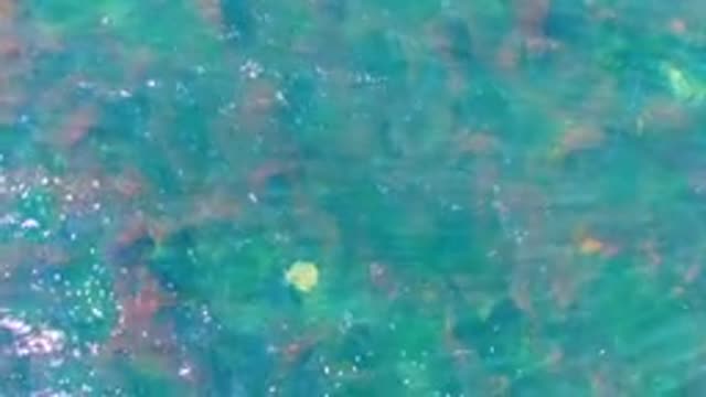 LA BOCANA BCS MEXICO-2022: Shallow Clear Water with Ripples and Rocky Seabed