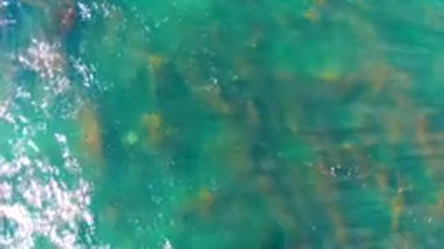 LA BOCANA BCS MEXICO-2022: Clear Turquoise Water Over Rocky Seabed