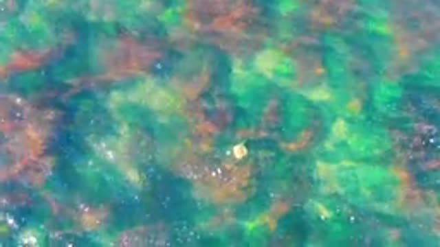 LA BOCANA BCS MEXICO-2022: Clear Shallow Water Over Rocky Seabed