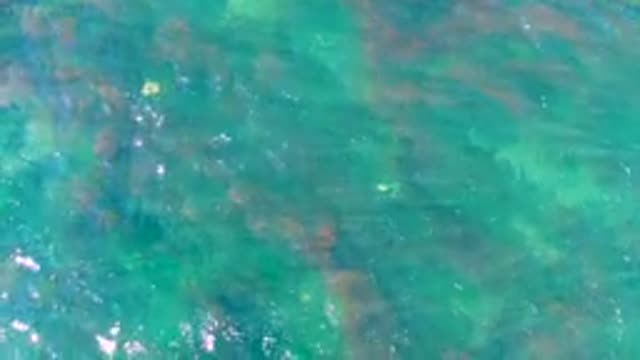 LA BOCANA BCS MEXICO-2022: Shallow Clear Water with Rocky Seabed and Ripples