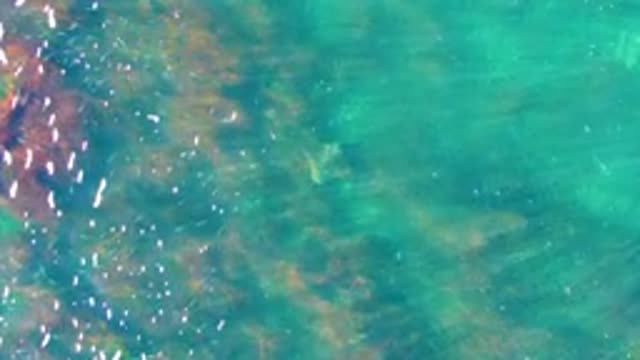 Clear Turquoise Water with Sunlight Reflections and Seabed Rocks