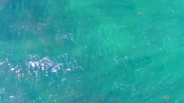 Gentle Ripples on Clear Turquoise Ocean Water