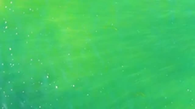 Gentle Ripples on Green Ocean Surface with Floating Particles