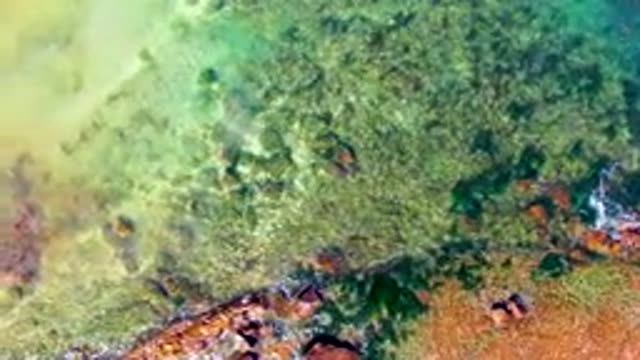 Clear Water Flowing Over Rocky Shore