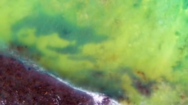 Tidal Movement Along Greenish Water and Dark Shore