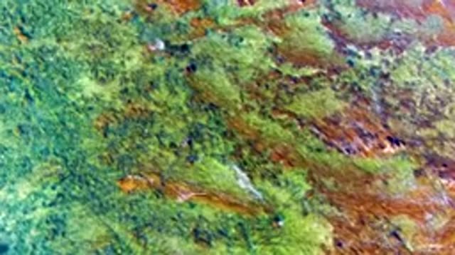 River Flowing Through Forested and Exposed Terrain From Above