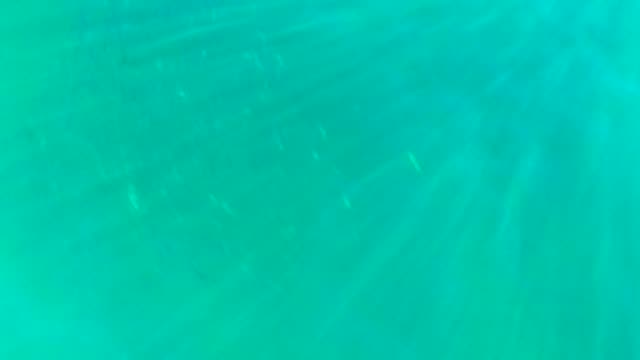 Sunlight Refracting Through Calm Ocean Surface