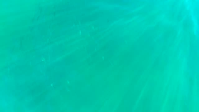Dancing Sunlight in Clear Turquoise Water