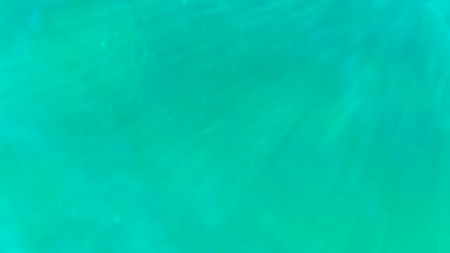Underwater Light Patterns on Shallow Seabed
