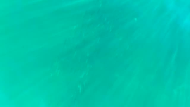 Gentle Ripples on Clear Turquoise Water Surface