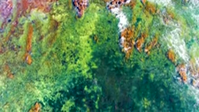 Waves Lapping Rocky Shore in Clear Ocean Water