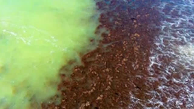 Merging Green and Brown Water in Aerial Shot