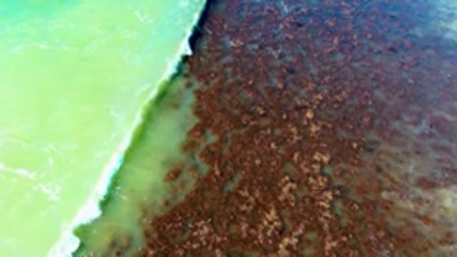 Green and Brown Water Separated by a Moving Wave
