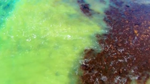 Green and Brown Water Merging From Above