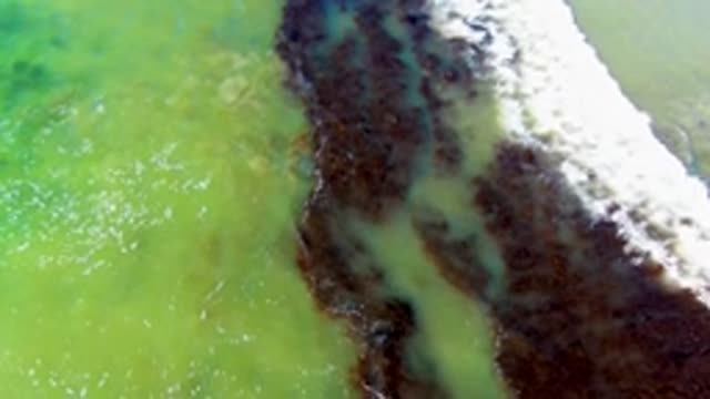 Foamy Water Flowing Along Greenish Shore