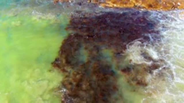 Shifting Algae and Sediment in Colorful Water Pools