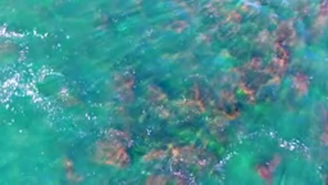 Clear Turquoise Ocean Water Over Rocky Seabed