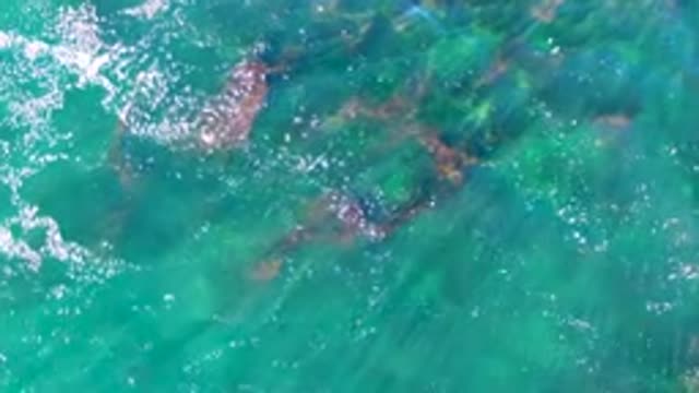 Clear Turquoise Water with Visible Underwater Rocks