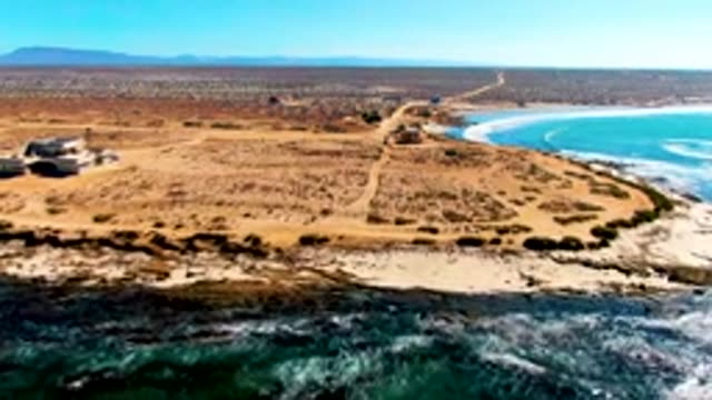 Coastal Desert Landscape with Ocean and Sparse Vegetation