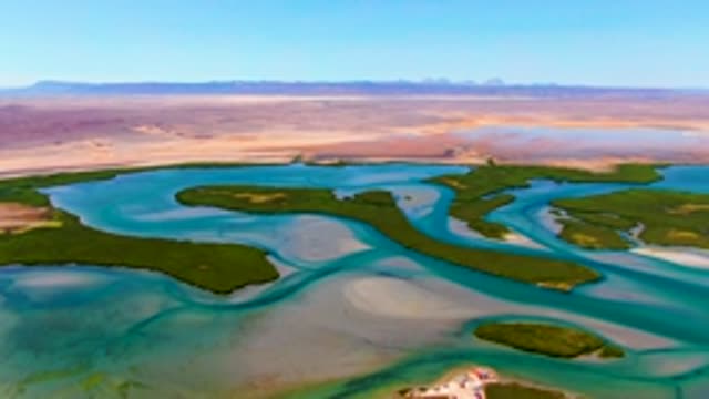 Winding Water Channels and Green Islands in Arid Landscape
