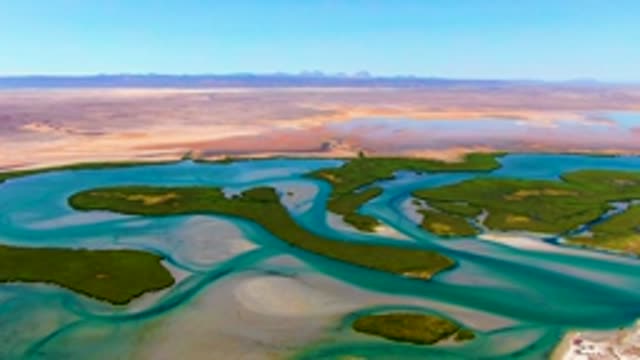 Delta Wetlands with Green Islands and Desert