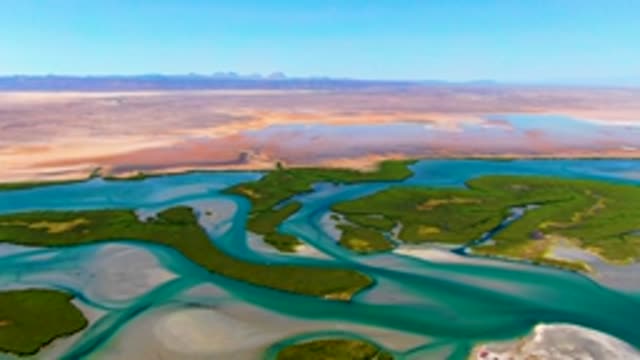 Flowing Water Channels Around Green Landmasses