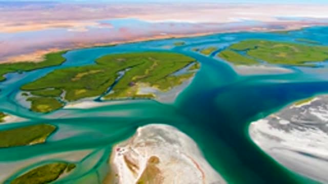 Water Flow in River Delta with Green Islands