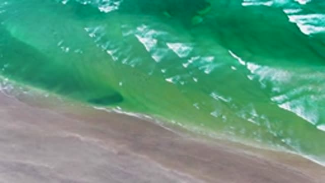 LA BOCANA BCS MEXICO-2022: Waves and Birds Moving Along the Sandy Shore