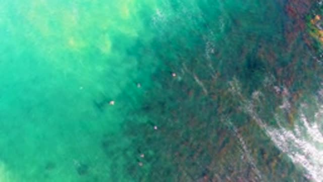 LA BOCANA BCS MEXICO-2022: People Swimming in Shallow Turquoise Sea